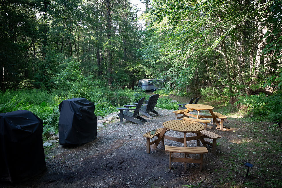 Grilling & Picnic Area